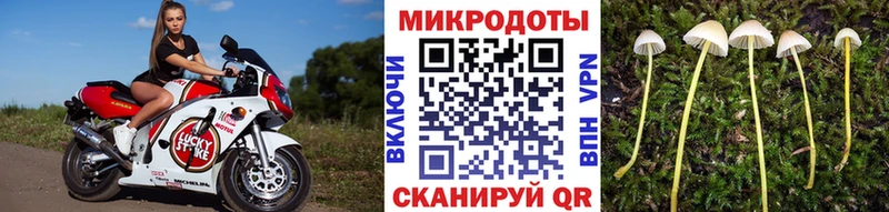 Галлюциногенные грибы Psilocybe  блэк спрут как зайти  Ессентукская 